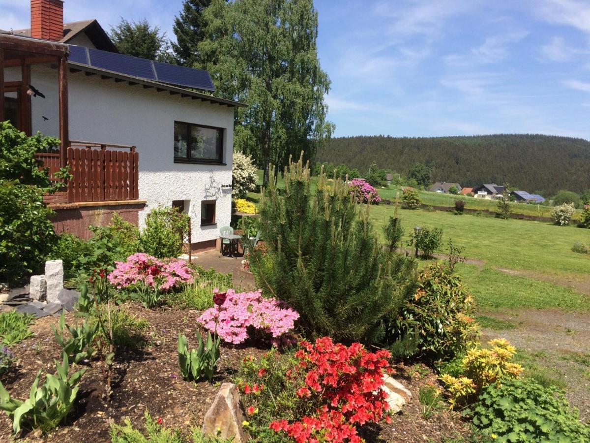 Haus Am Wald - Urlaub Am Nationalpark Langweiler (Birkenfeld) Exterior foto