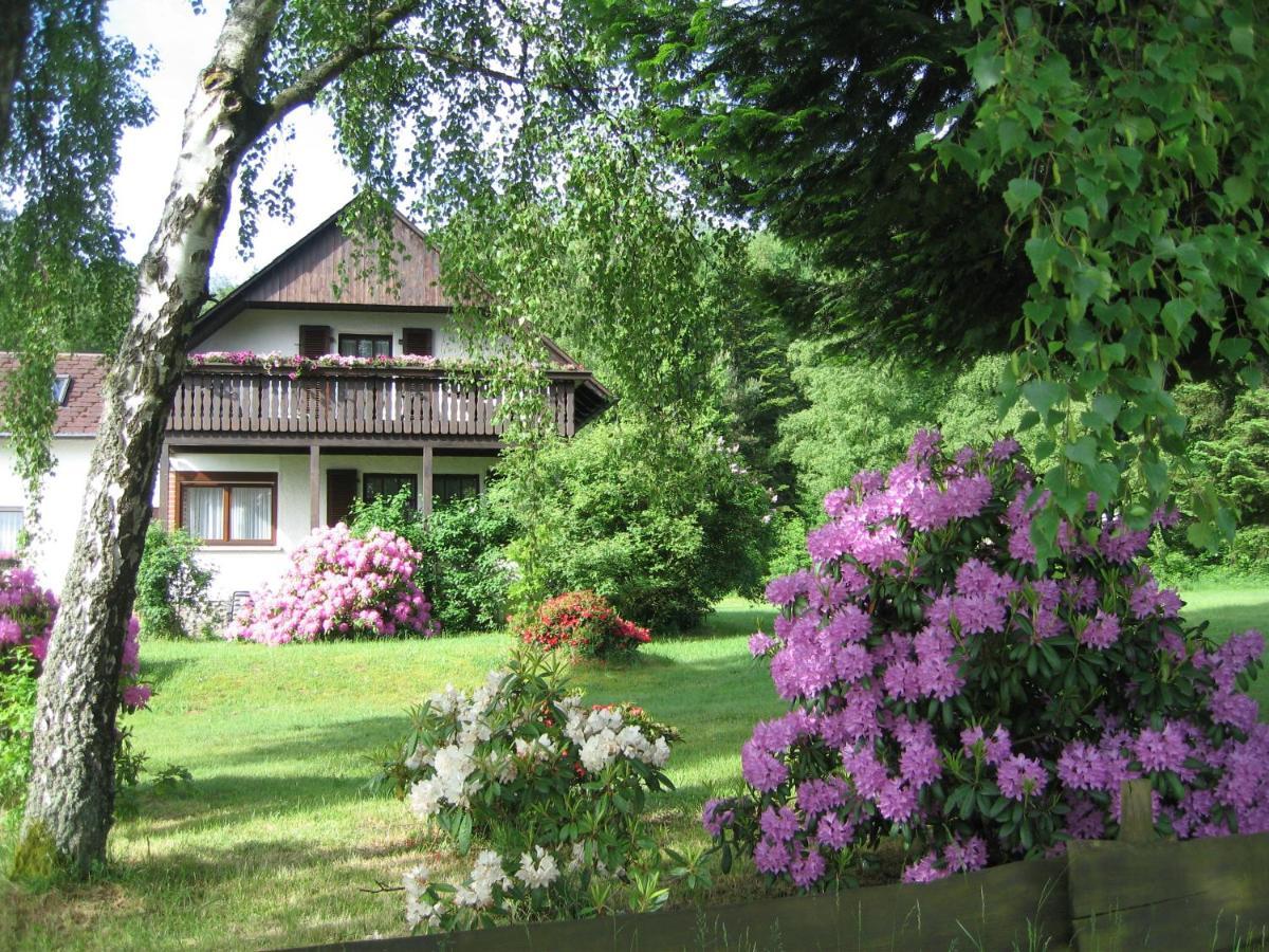 Haus Am Wald - Urlaub Am Nationalpark Langweiler (Birkenfeld) Exterior foto