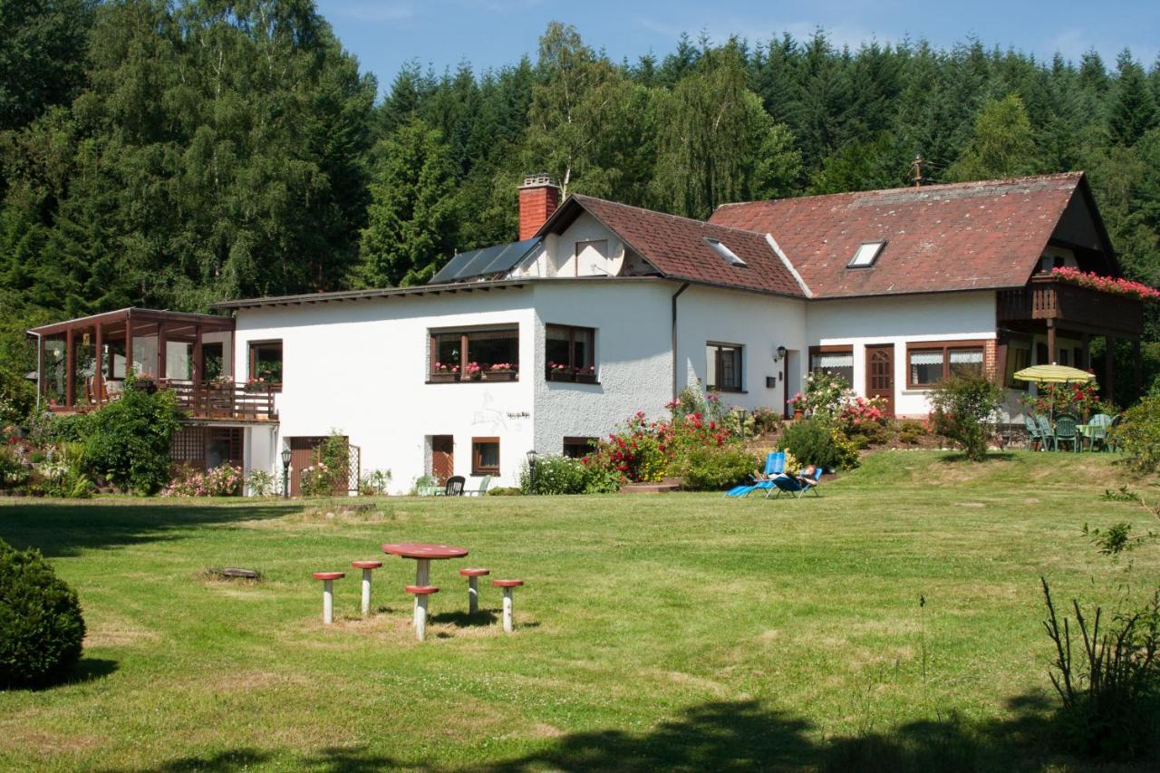 Haus Am Wald - Urlaub Am Nationalpark Langweiler (Birkenfeld) Exterior foto